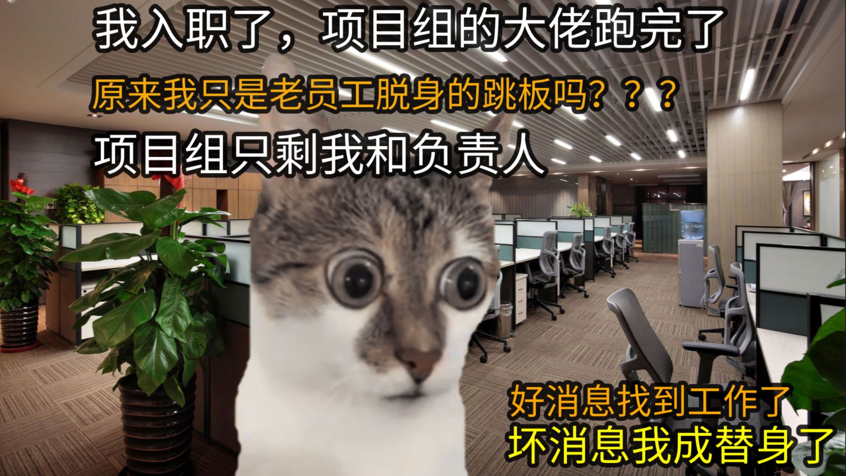 [猫meme]刚入职,项目组大佬全跑了,原来我是替死鬼啊,还真是代码和程序员有一个能跑就行了哔哩哔哩bilibili