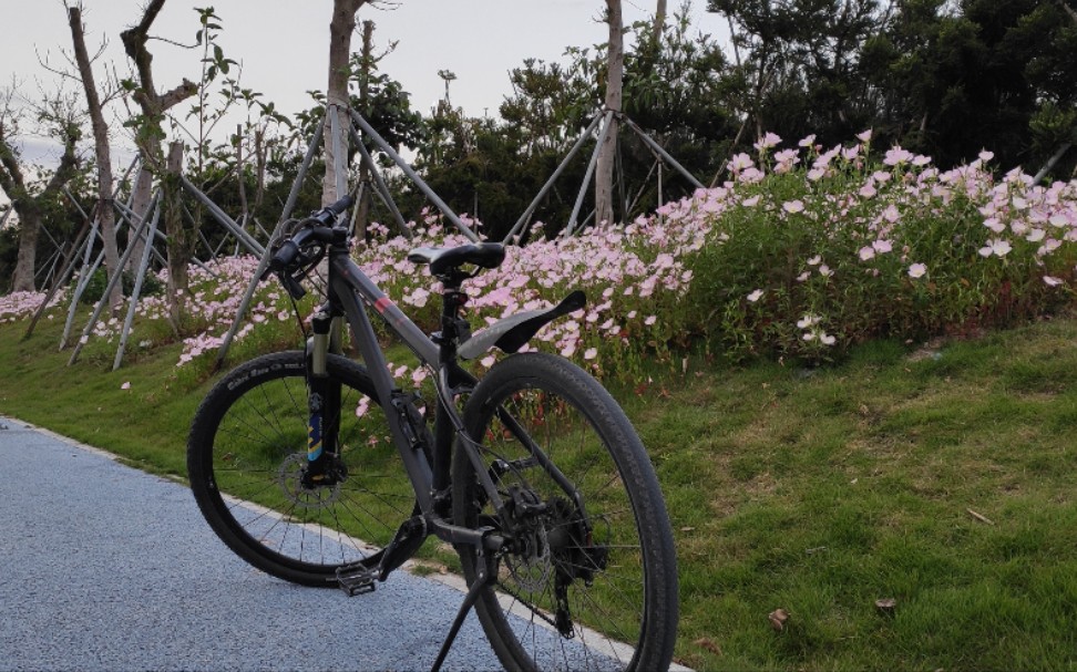 [图]骑行路上所见的风景 春日集锦 Goodbye spring