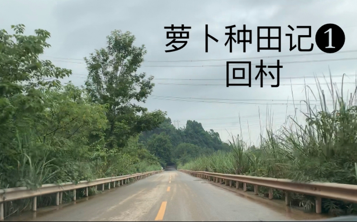 【分享旅途的风景】真的好养眼阿!!!哔哩哔哩bilibili