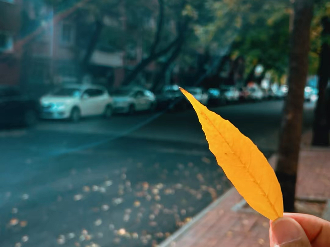隔着人海对你说，秋天快乐，愿你走过的每条路，都有温暖陪着。愿你快乐，不止秋天！