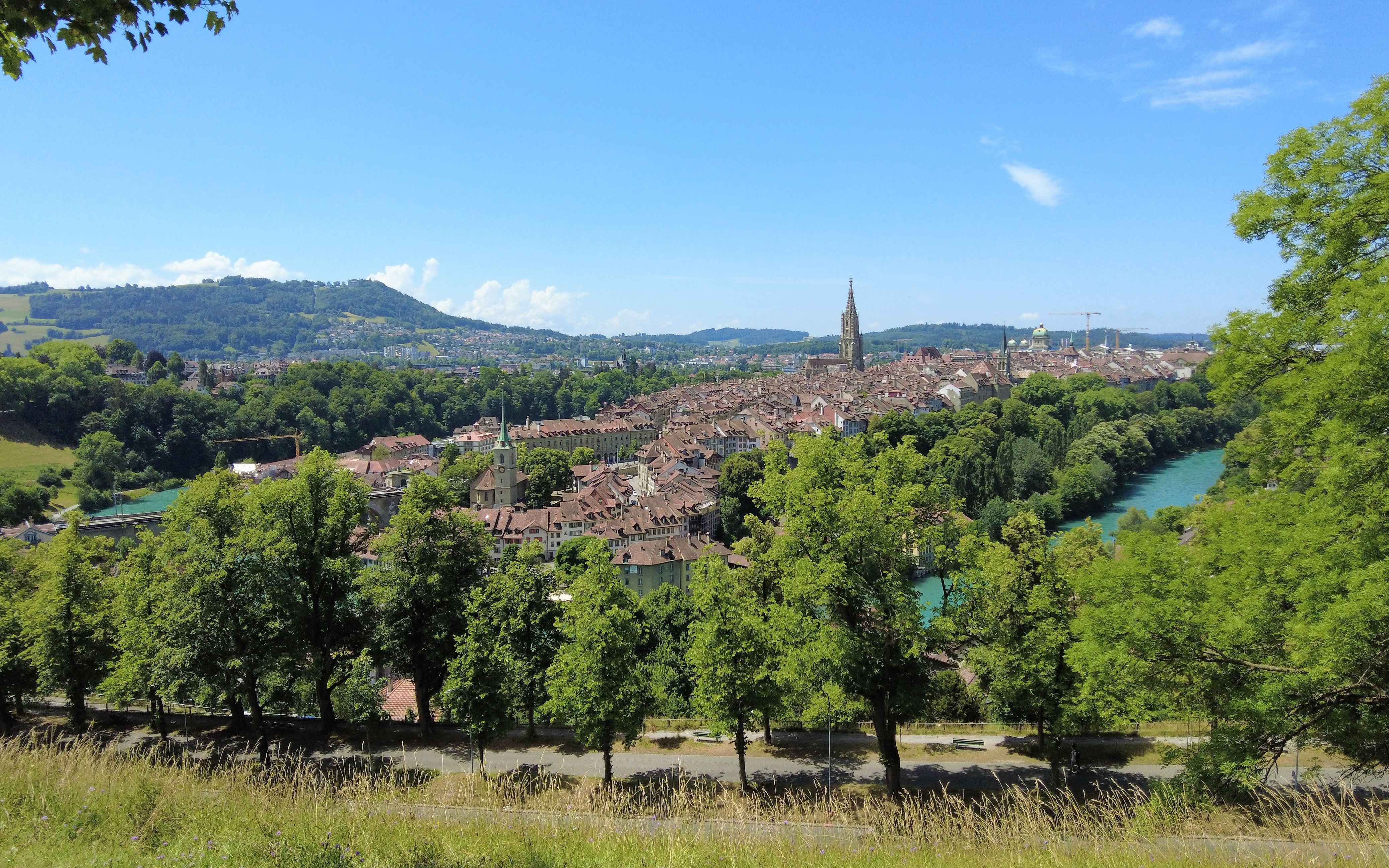 [图]瑞士首都 伯尔尼/伯恩 Bern | 玫瑰园 Rose Garden | 盛夏高温的一天 | 路遇可爱小猫咪