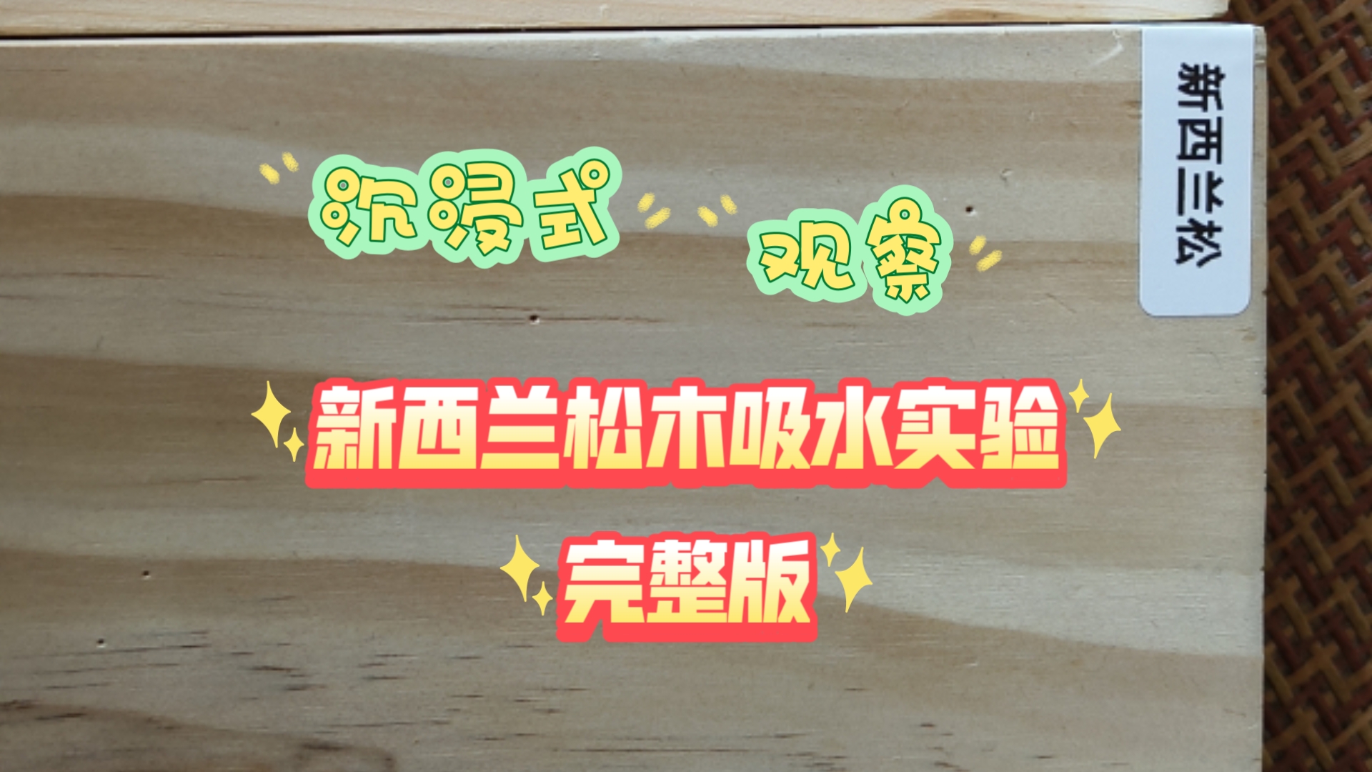 沉浸式观察新西兰松木的吸水实验完整版哔哩哔哩bilibili