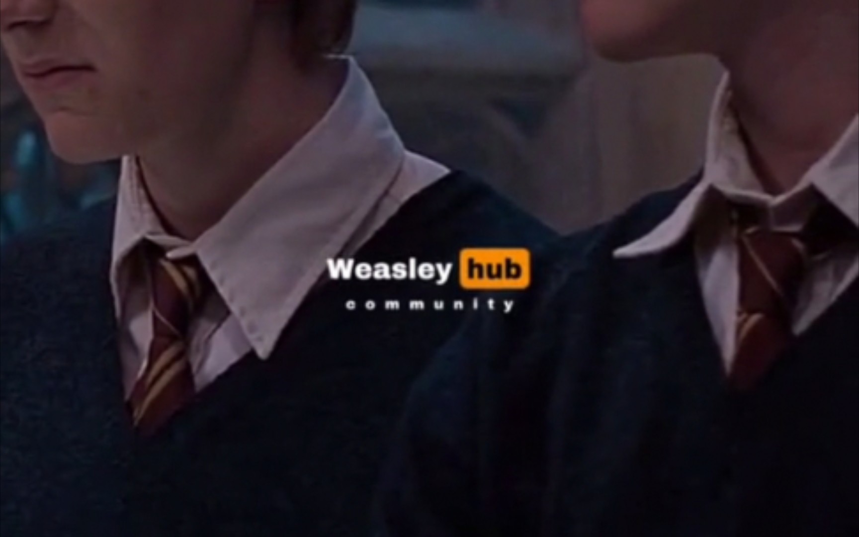 【韦斯莱双子】Weasley Hub哔哩哔哩bilibili