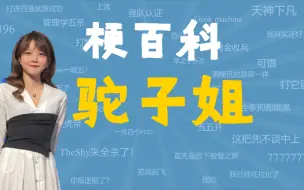 Tải video: 骆歆驼子姐是什么梗【LPL梗百科】【反正也没人看系列】