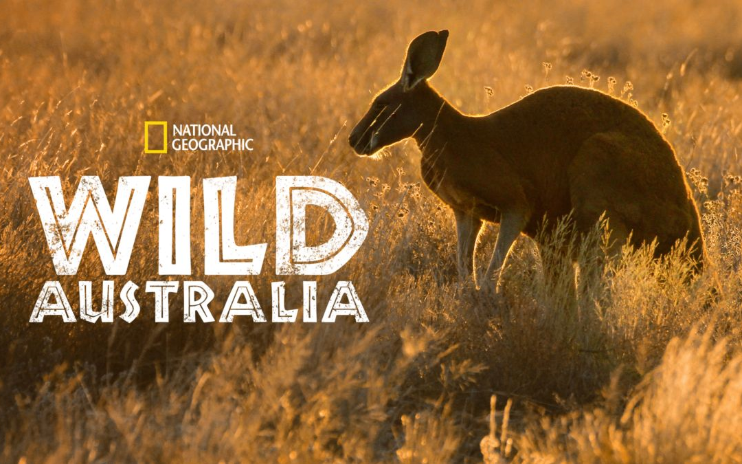 [图]野性澳洲 第一季全四集 Wild Australia