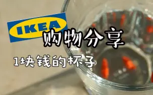 Download Video: 宜家IKEA购物分享 实用便宜小物品推荐