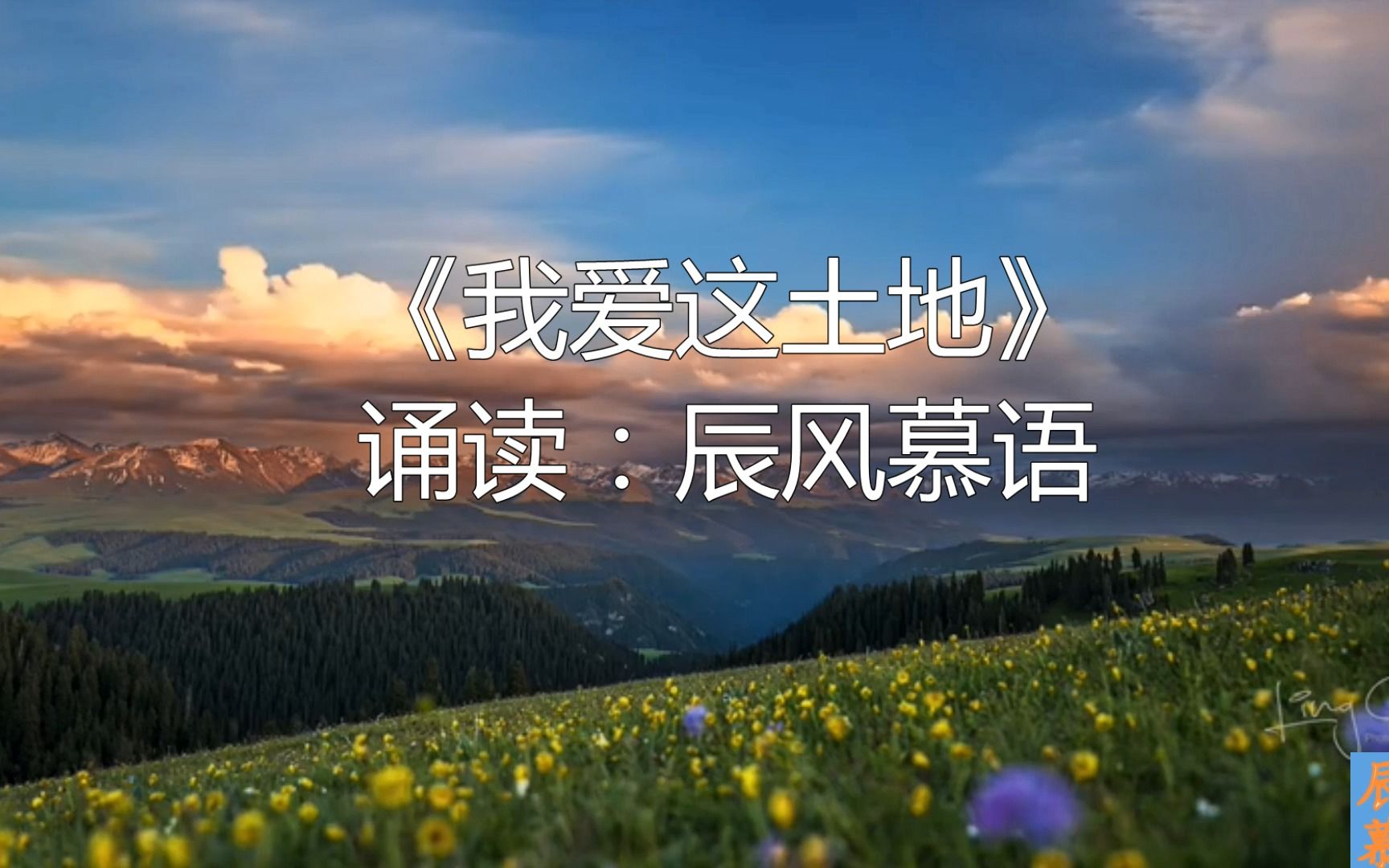 赤诚永驻,热泪常盈,朗诵 剪辑,还原艾青《我爱这土地》