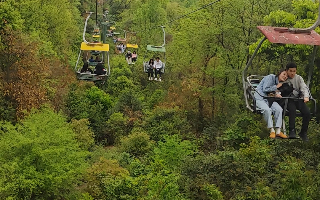 岳麓山下山图片