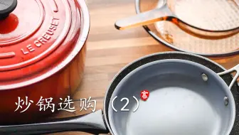 【小高姐】炒锅选购-2 （玻璃锅 珐琅锅 不粘锅）不粘锅的涂层真的有毒吗？