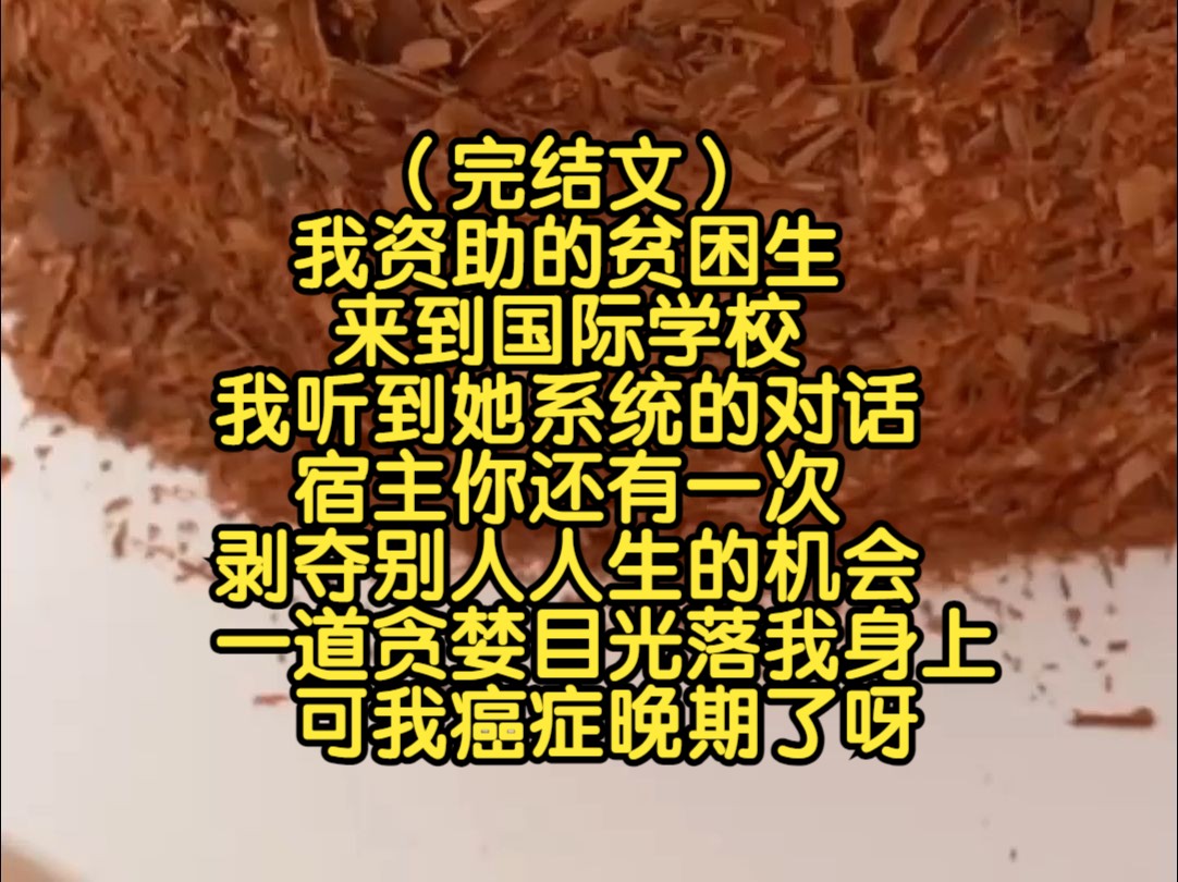 (完结文)我资助的贫困生来到国际学校,我听到她系统的对话,宿主你还有一次剥夺别人人生的机会,一道贪婪目光落我身上,可我癌症晚期了呀哔哩哔...