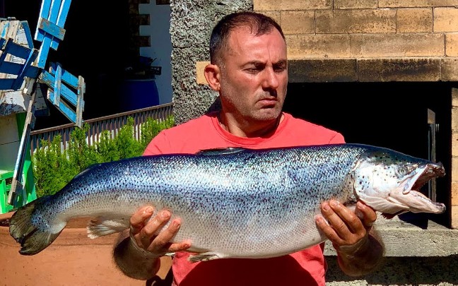 俄罗斯美食鲑鱼不止刺身高加索烤女婿