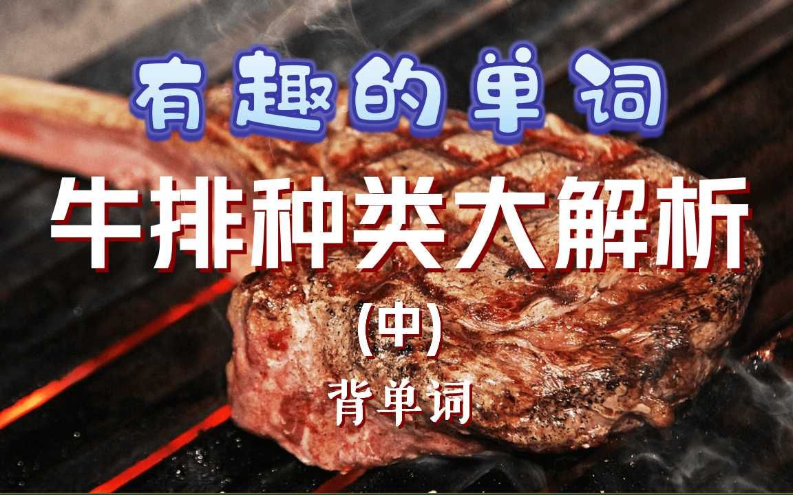 牛排种类大解析(中)《背单词练口语》4000情景单词速记哔哩哔哩bilibili