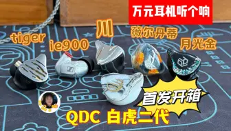 Descargar video: 「万元耳塞横评」QDC白虎二代/森海ie900/达音科川/月光金/薇儿丹蒂/tiger