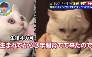 ドッキリ 搜索结果 哔哩哔哩 Bilibili