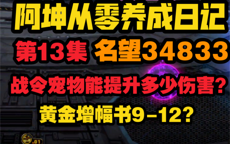 【DNF】阿坤从零养成日记第13集,战令宠物能提升多少伤害?黄金增幅书912?网络游戏热门视频