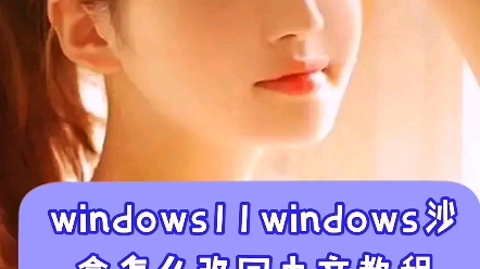 windows11windows沙盒怎么改回中文教程哔哩哔哩bilibili