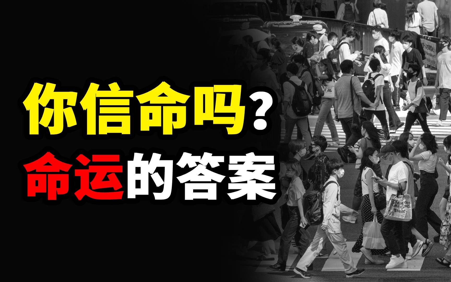 你信命吗?人真的能通过玄学,得知自己的命运吗?如何对抗命运?哔哩哔哩bilibili