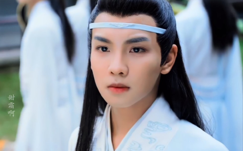 【陈情令x思追个人向】陌上人如玉,公子世无双