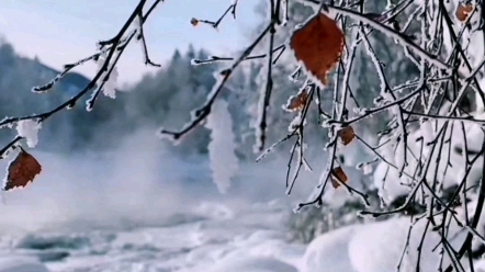 [图]落雪听禅，瑞雪丰年。疫情过后，我们一起去赏玩一场雪吧！