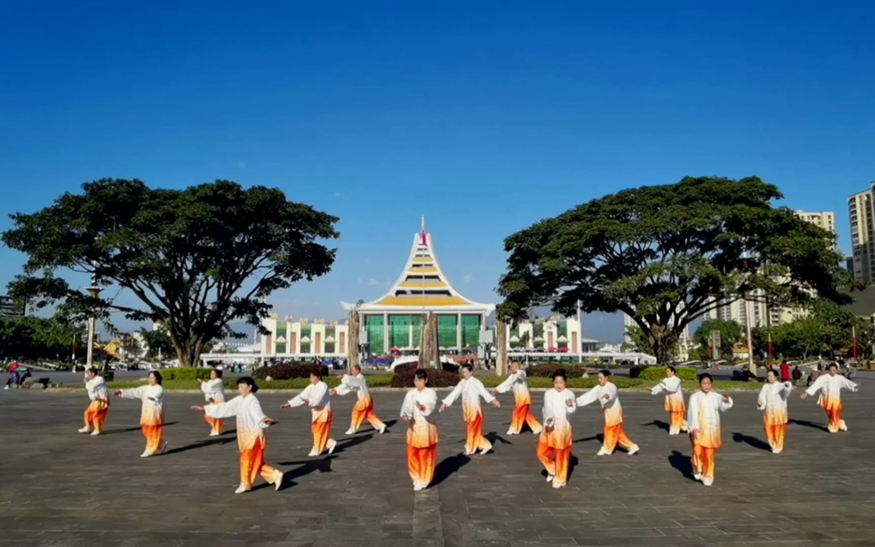 沙式十二式太极拳-参赛单位德宏州太极协会-德宏州总工会选送_哔哩