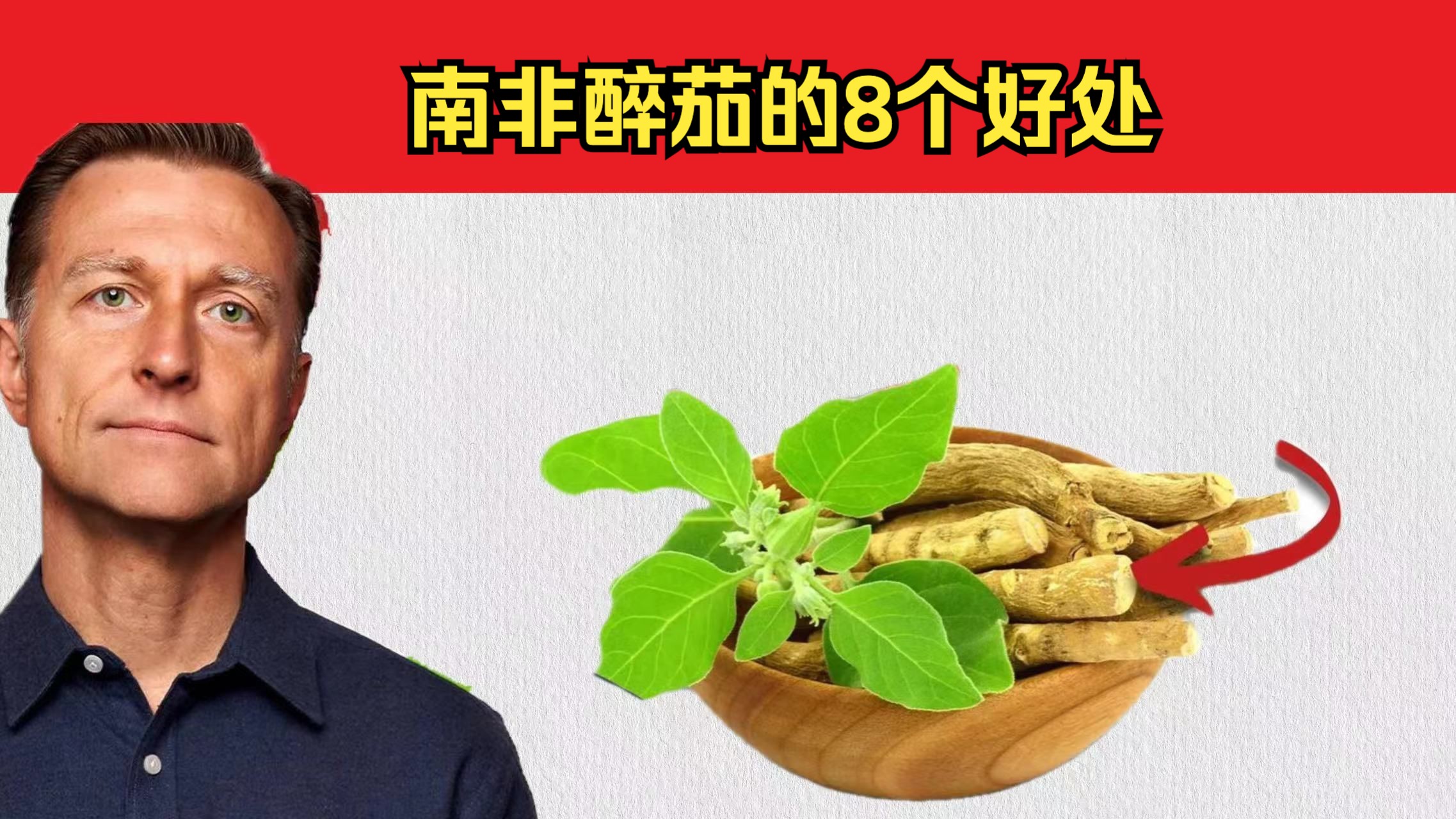 南非醉茄的8个好处,适用人群哔哩哔哩bilibili