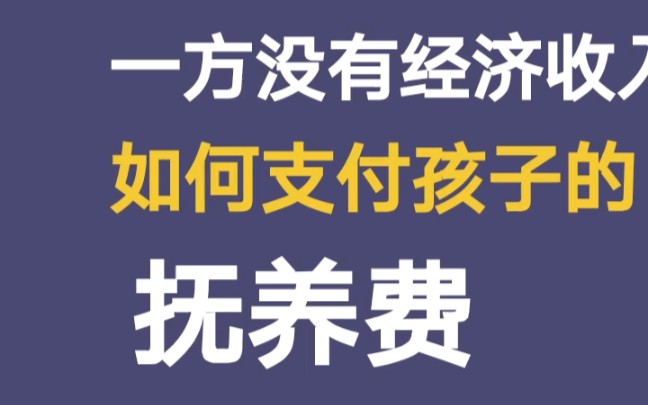 离婚后,一方没有经济收入,如何支付抚养费哔哩哔哩bilibili