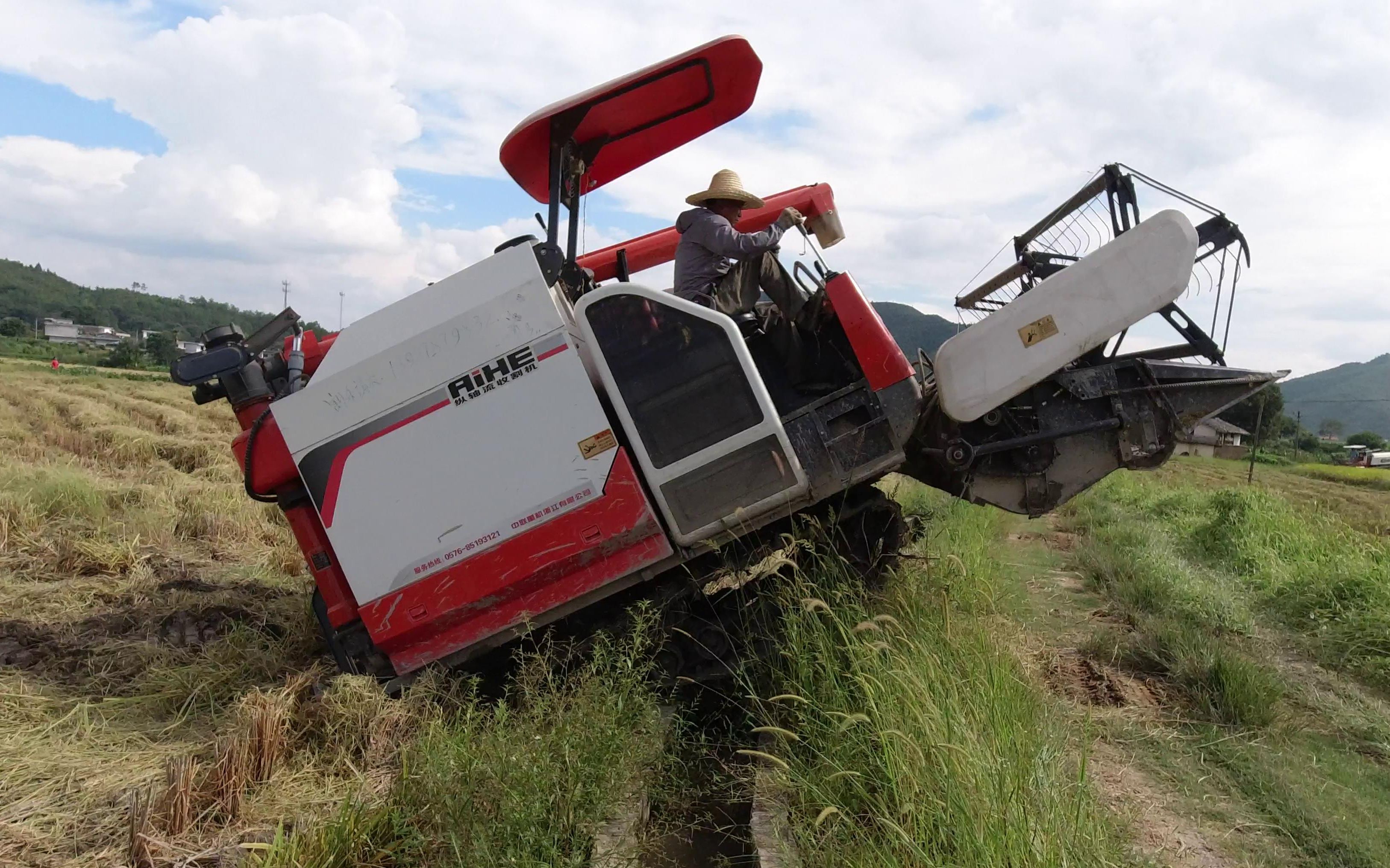 大叔请广东的收割机收水稻,吸引了好多村民来围观,收稻谷特别快
