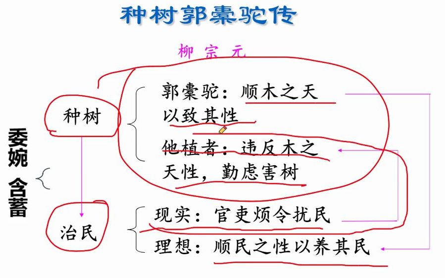 校园新星:语文知识 《种树郭橐驼传》课后总结哔哩哔哩bilibili