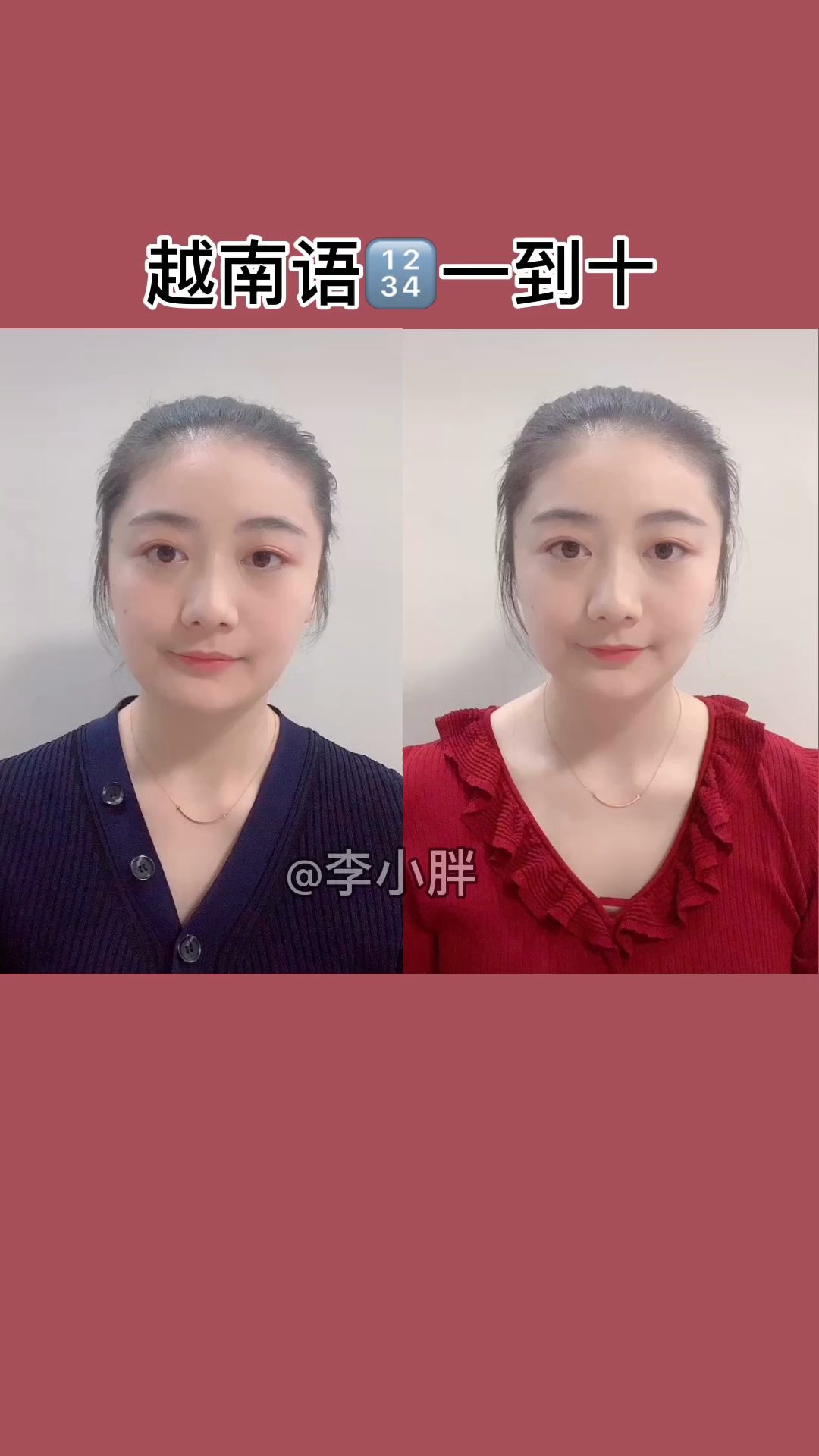 【李小胖越南语】越南语 数字110哔哩哔哩bilibili