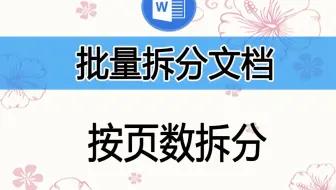 批量拆分WORD文档，按页拆分、按大标题拆分，也支持WPS