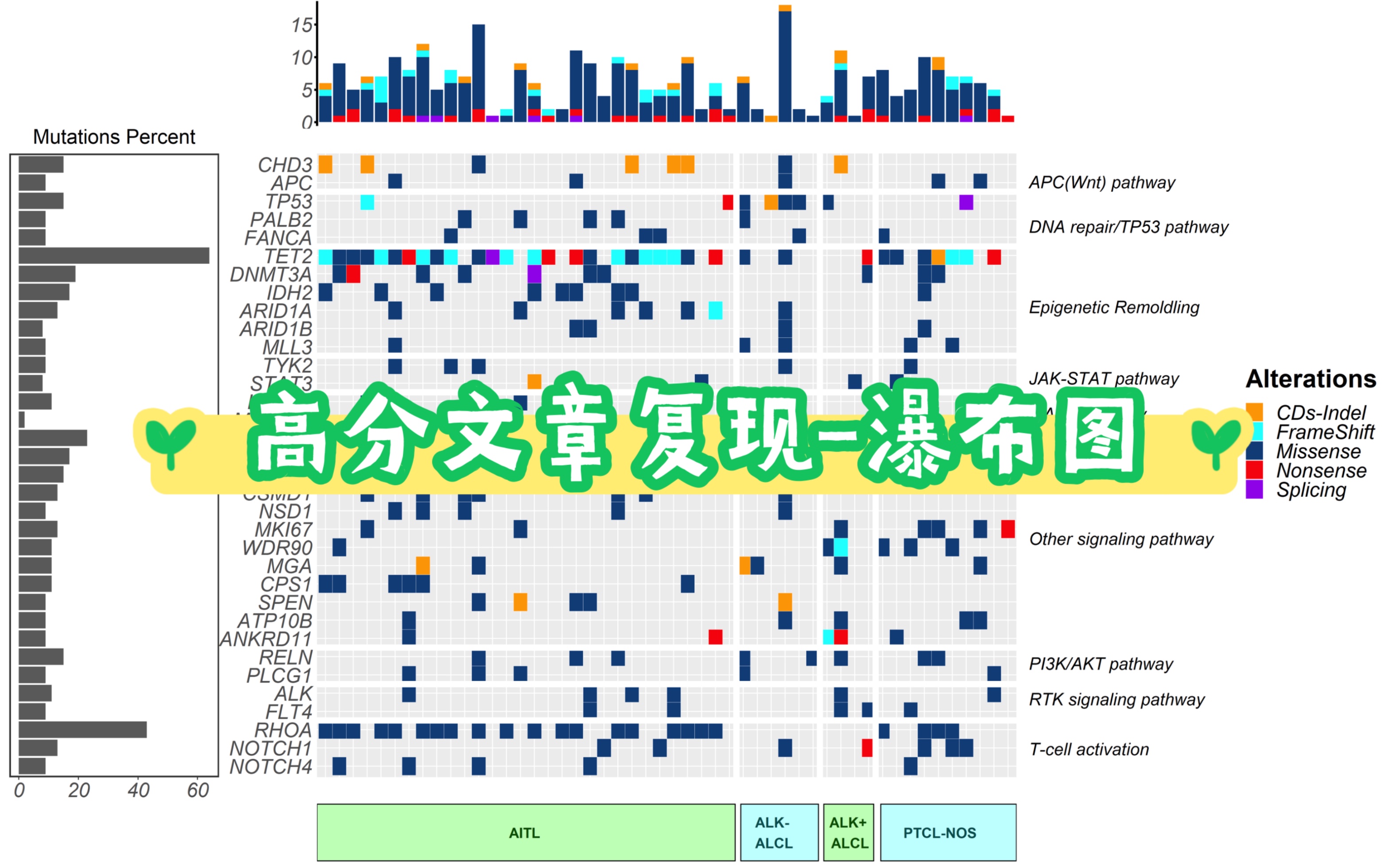 高分文章复现瀑布图(代码在置顶评论区)哔哩哔哩bilibili