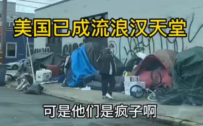 在美国加州的流浪汉,每月可以领800美元救济金和食物劵,想住哪就住哪,露营艺术家.哔哩哔哩bilibili