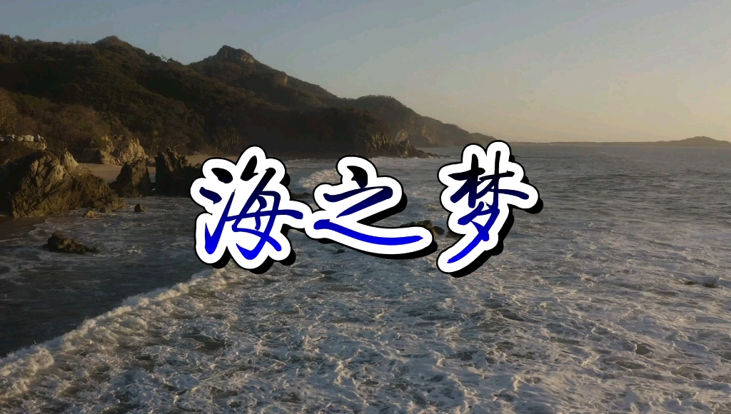 蓿芒萨克斯(次中音)演奏《海之梦》