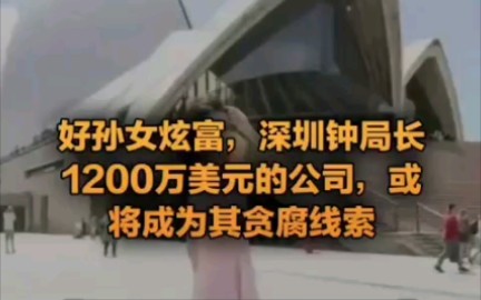 好孙女炫富,深圳钟局长1200万美元的公司,或将成为其贪腐线索哔哩哔哩bilibili