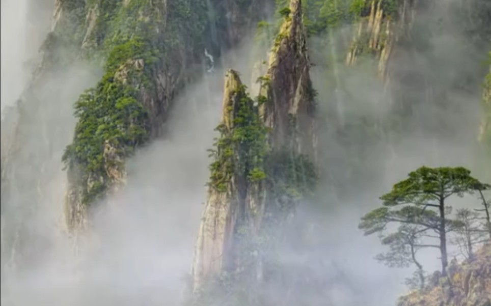 [图]空山不见人，但闻鸟两声。