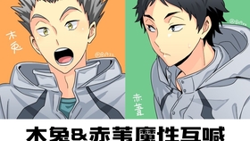 枭谷vs狢坂 木兔的王牌之战赤苇的成长之战 哔哩哔哩 つロ干杯 Bilibili