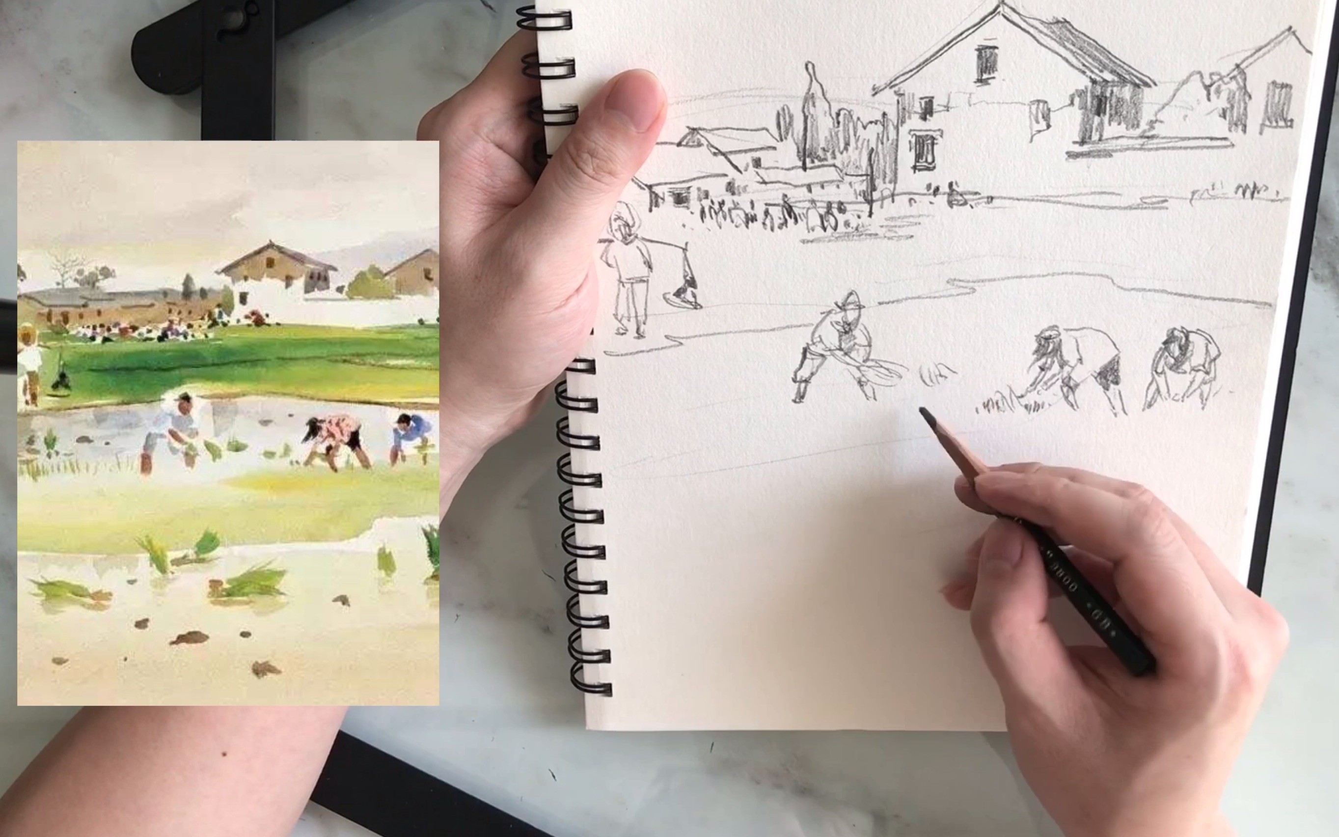 【跟李老师学写生】速写专题07(乡村稻田)示范