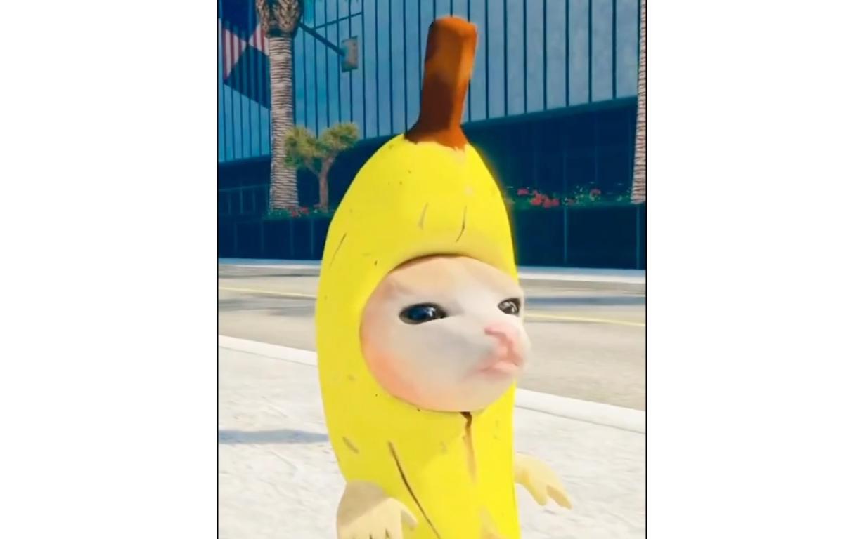 谁说香蕉猫只会哭?-bili_72367678641-默认收藏夹-哔哩哔哩视频