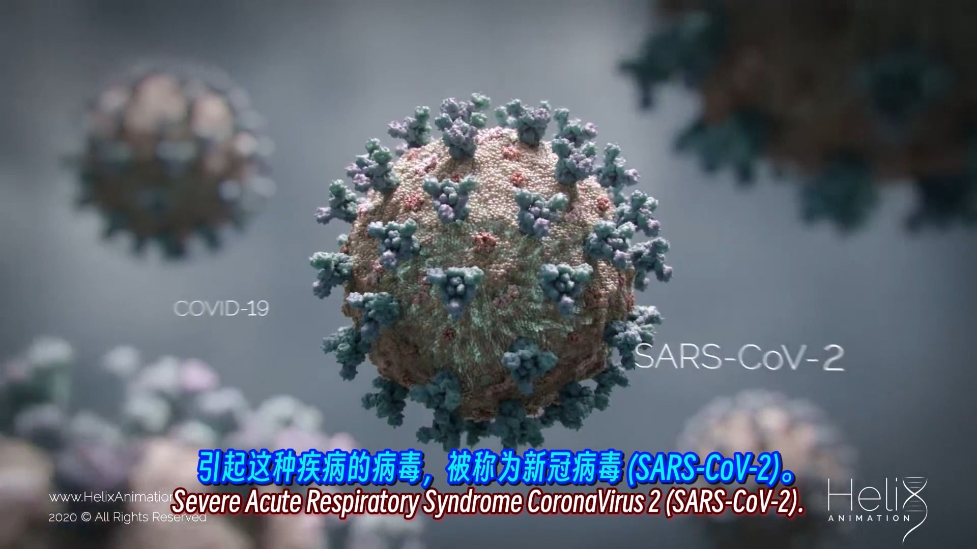 3d动画:新冠传播规律 & 病毒外形可视化 sars-cov