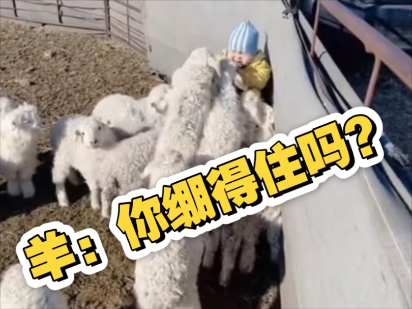⚡️崩 不 住 了⚡️②⑤