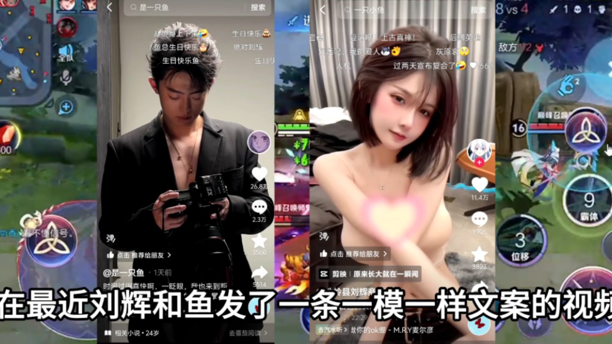 一只鱼和刘辉将要复合?