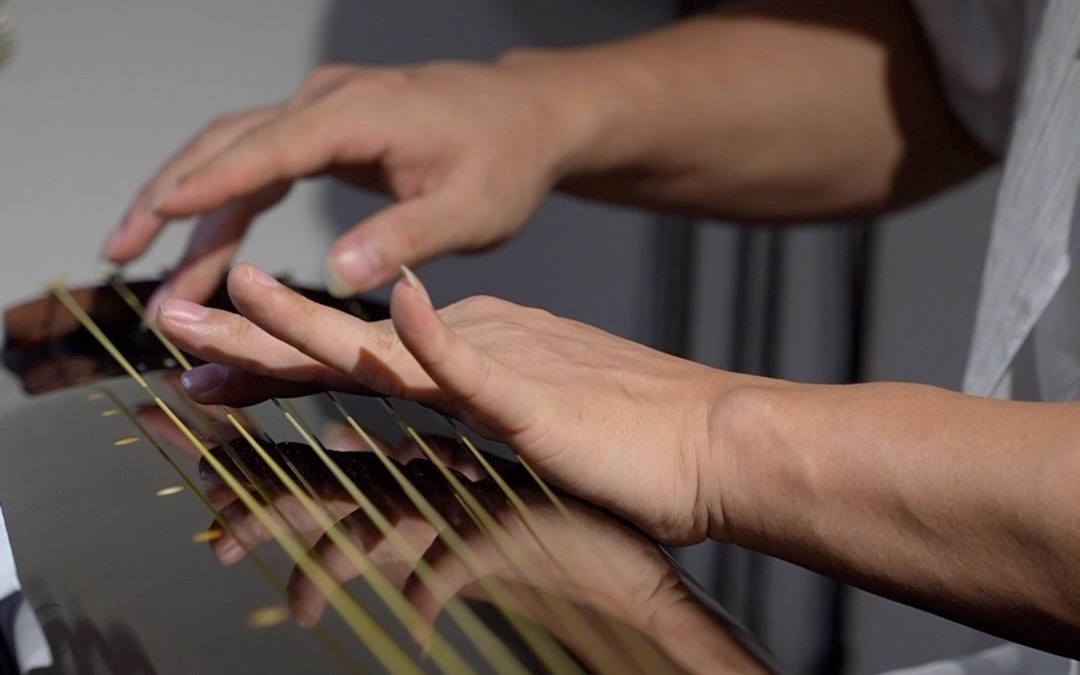 古琴《绿野仙踪》你们喜欢吗?想听什么曲子评论区留言!