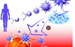 [图]动画演示细胞大战病毒过程