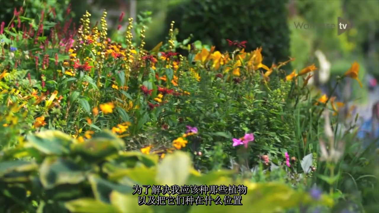 [图]The Cottage Garden（中文字幕）乡村花园