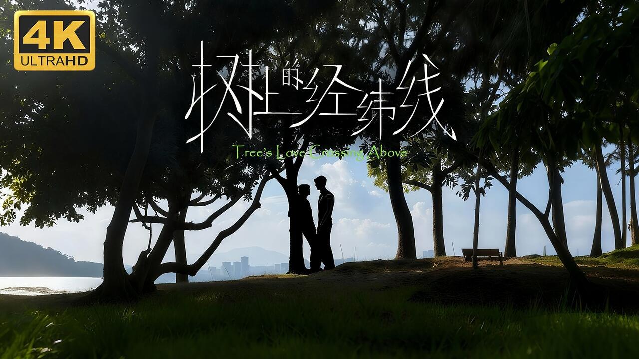 树上的经纬线 全流程视频封面