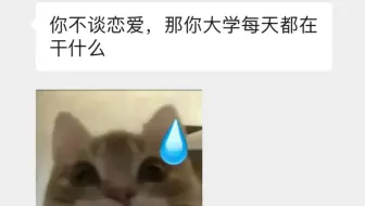 替你们试过了 大学不谈恋爱 那你可以…