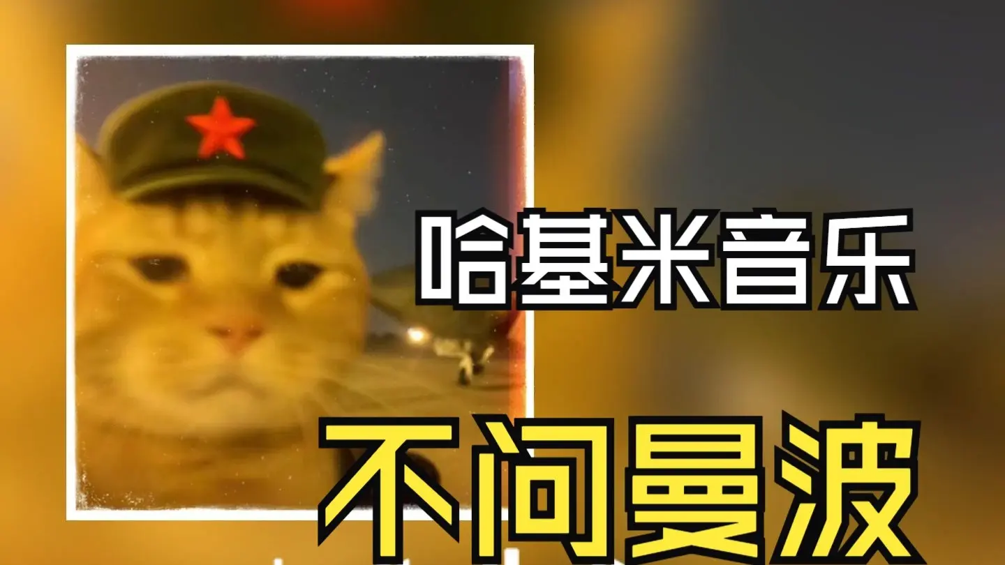 【哈基米】《不问曼波》丨我叹那 路边基米 颠沛流离_哔哩哔哩_bilibili
