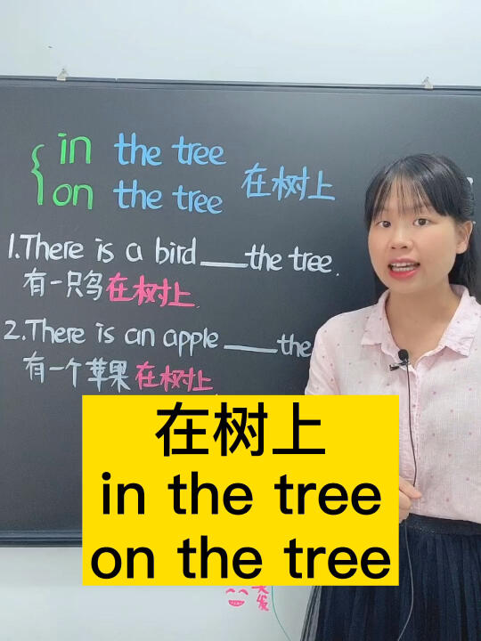 in the tree和on the tree哔哩哔哩bilibili