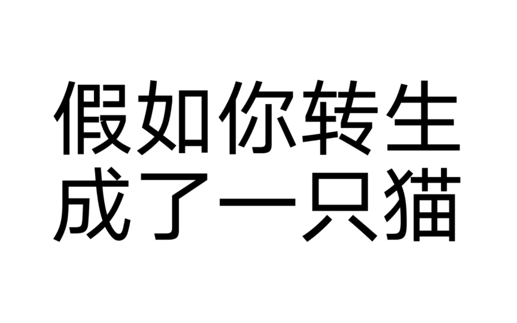 [图]（转盘测试）当你一觉醒来发现自己转生成了一只猫