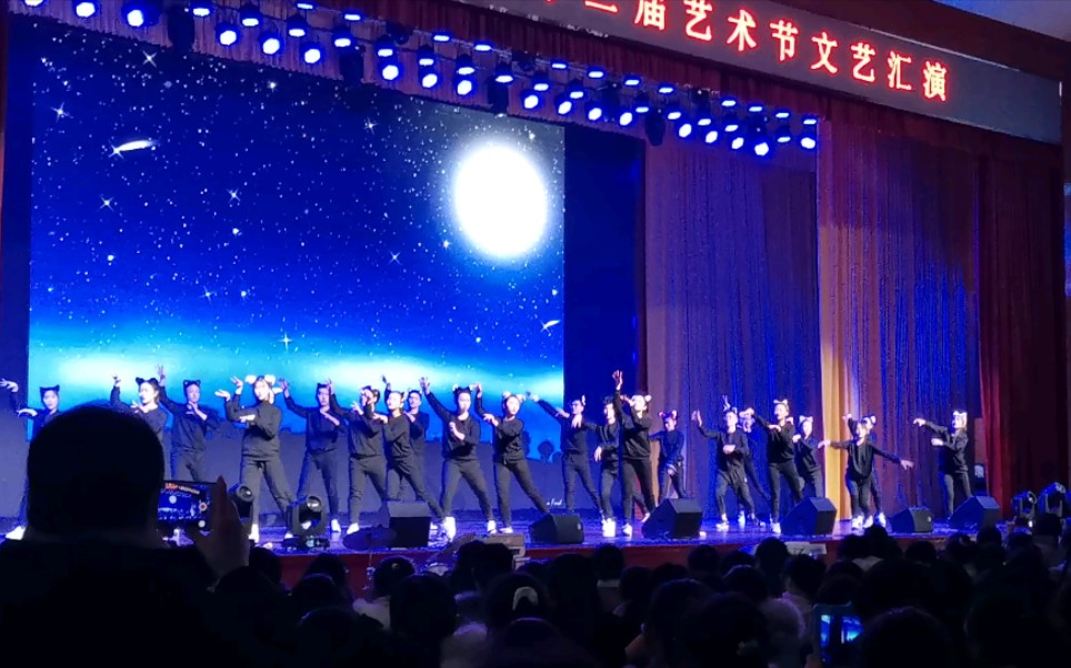 淄博一中2020年第32届艺术节音乐剧猫